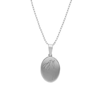 STYCZEŃ - PRZEBIŚNIEG NASZYJNIK SREBRNY